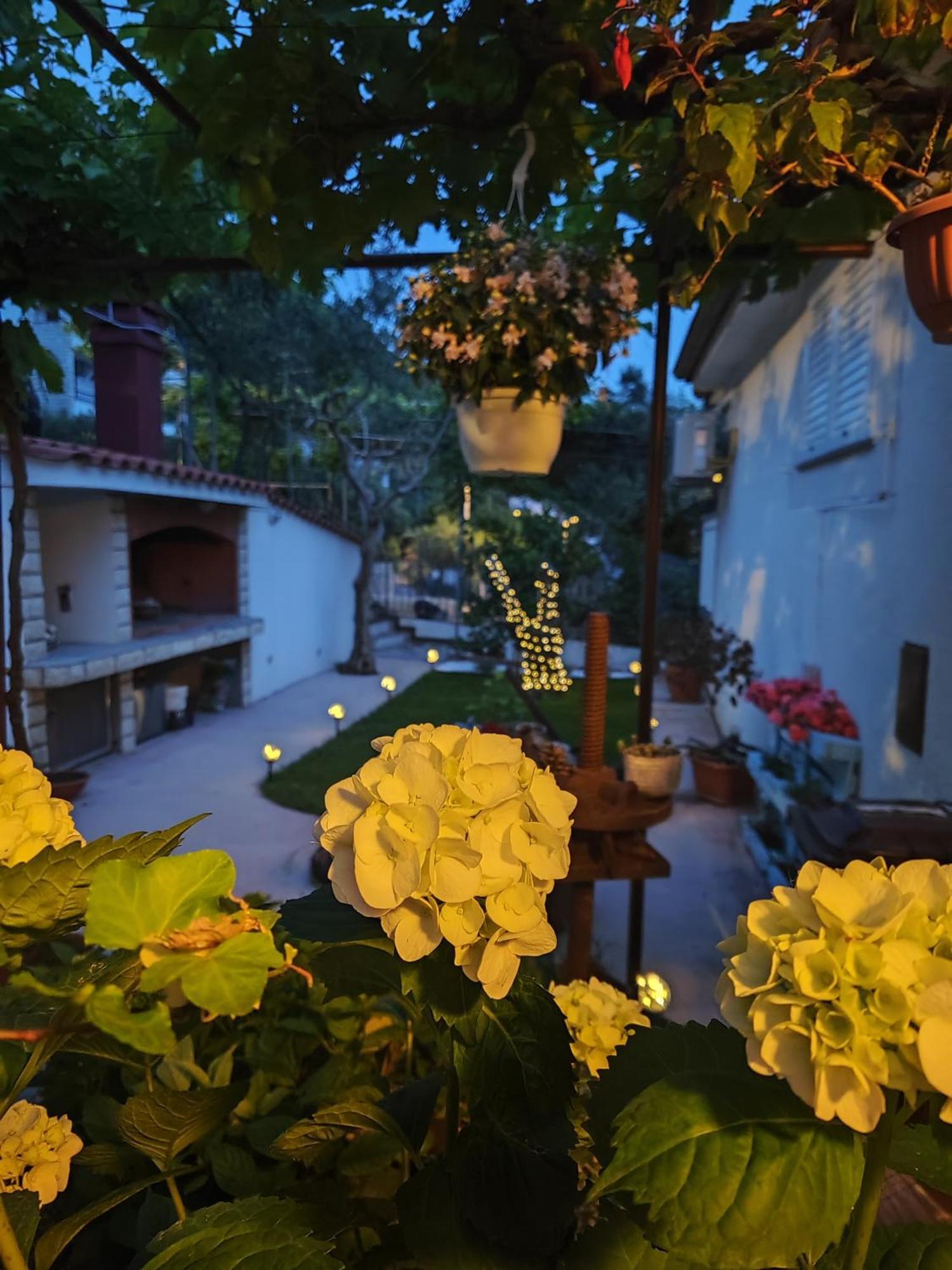 Apartmani Andela Kordic スペタルスカ・ドラガ エクステリア 写真