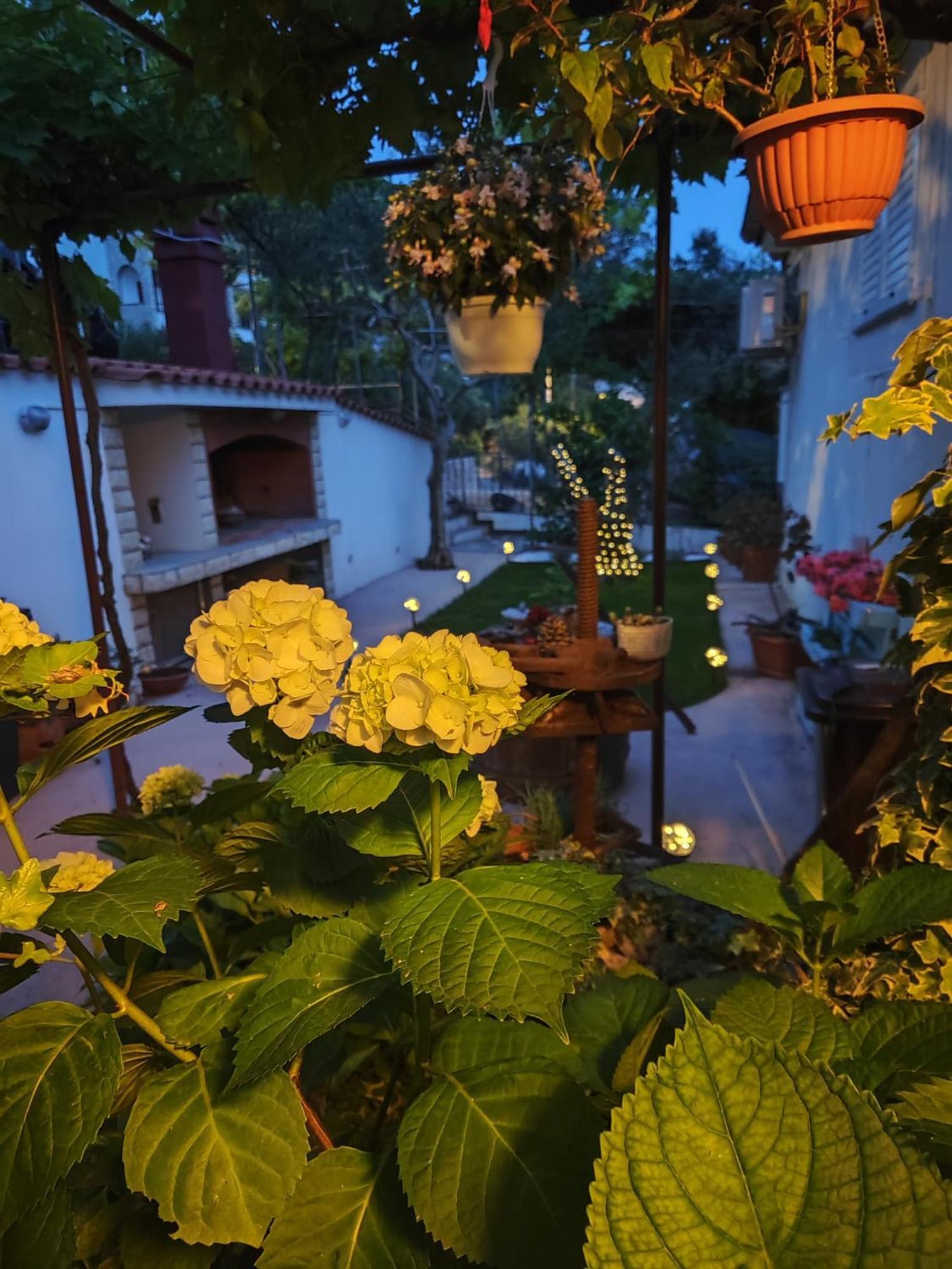 Apartmani Andela Kordic スペタルスカ・ドラガ エクステリア 写真